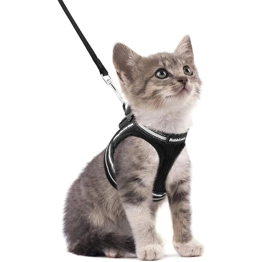 Fujian Escape Proof Adjustable Cat Harness And Leash Set