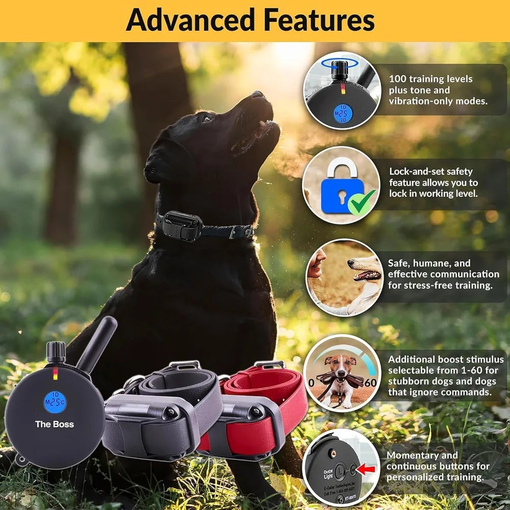 Hign-Concerned Dog Training Collar With Remote 100 Levels
