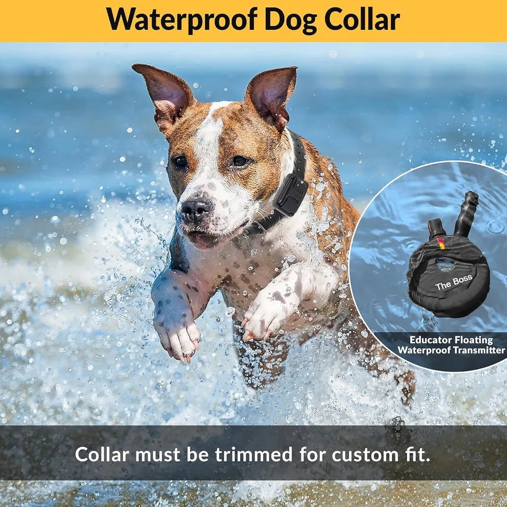 Hign-Concerned Dog Training Collar With Remote 100 Levels