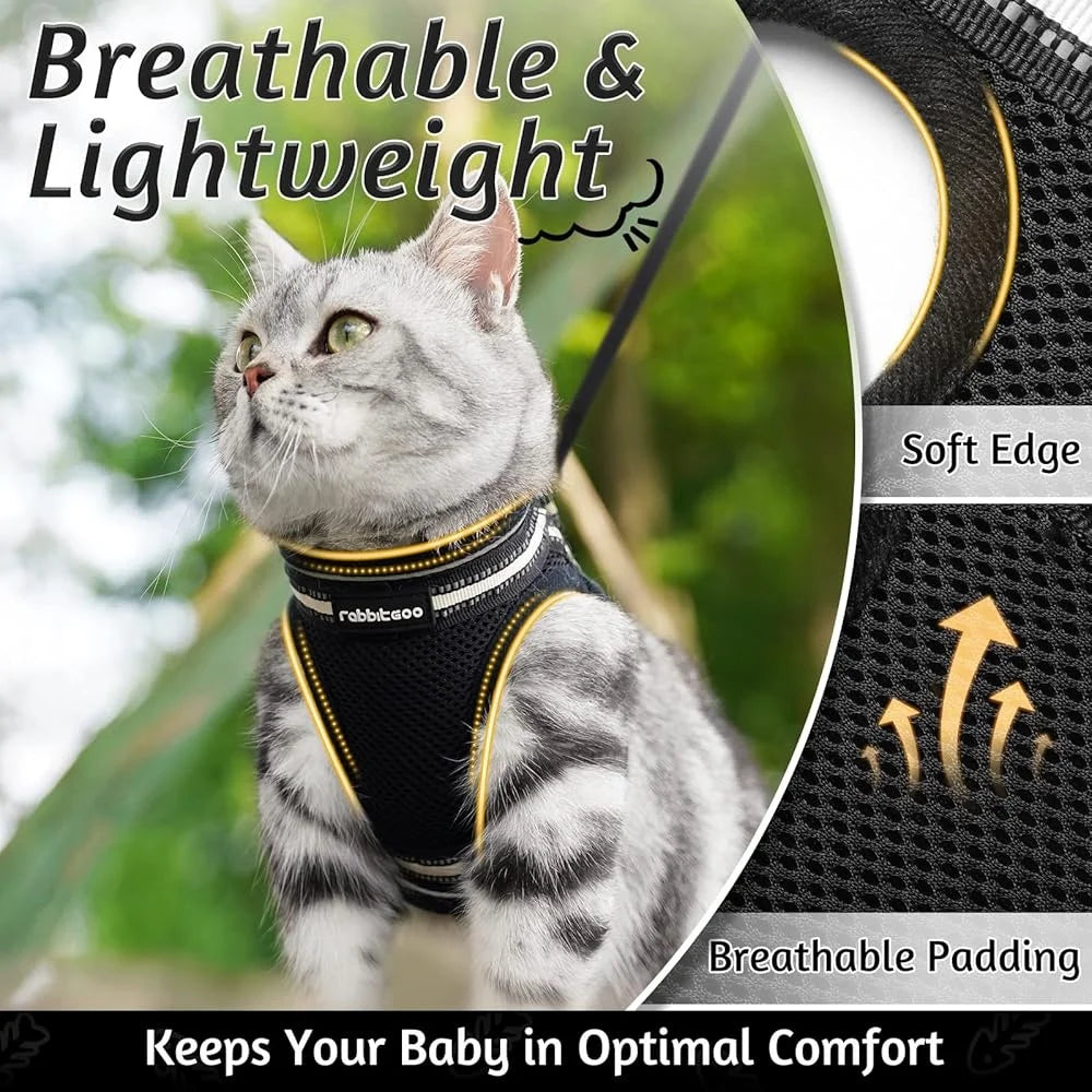 Fujian Escape Proof Adjustable Cat Harness And Leash Set
