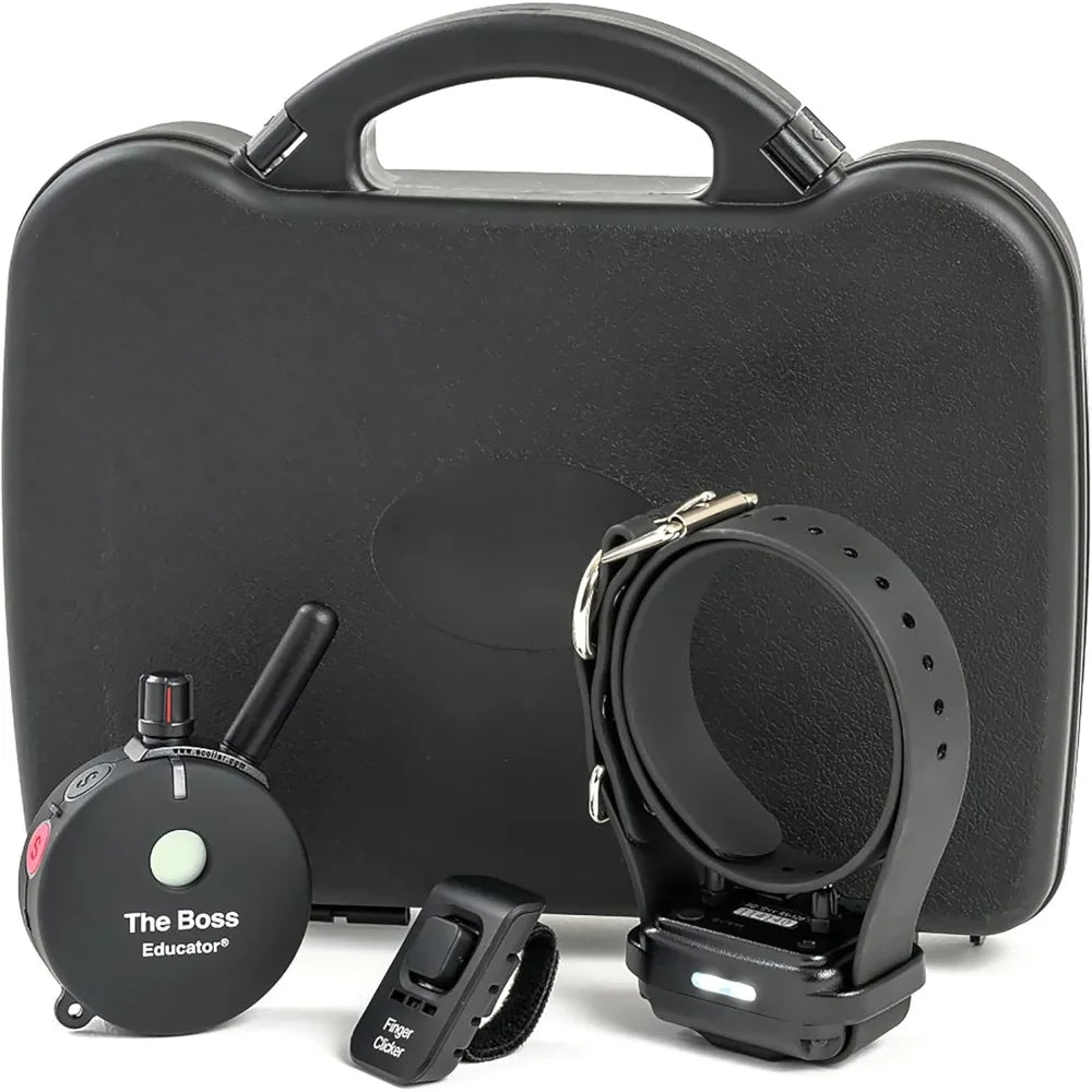 Hign-Concerned Dog Training Collar With Remote 100 Levels
