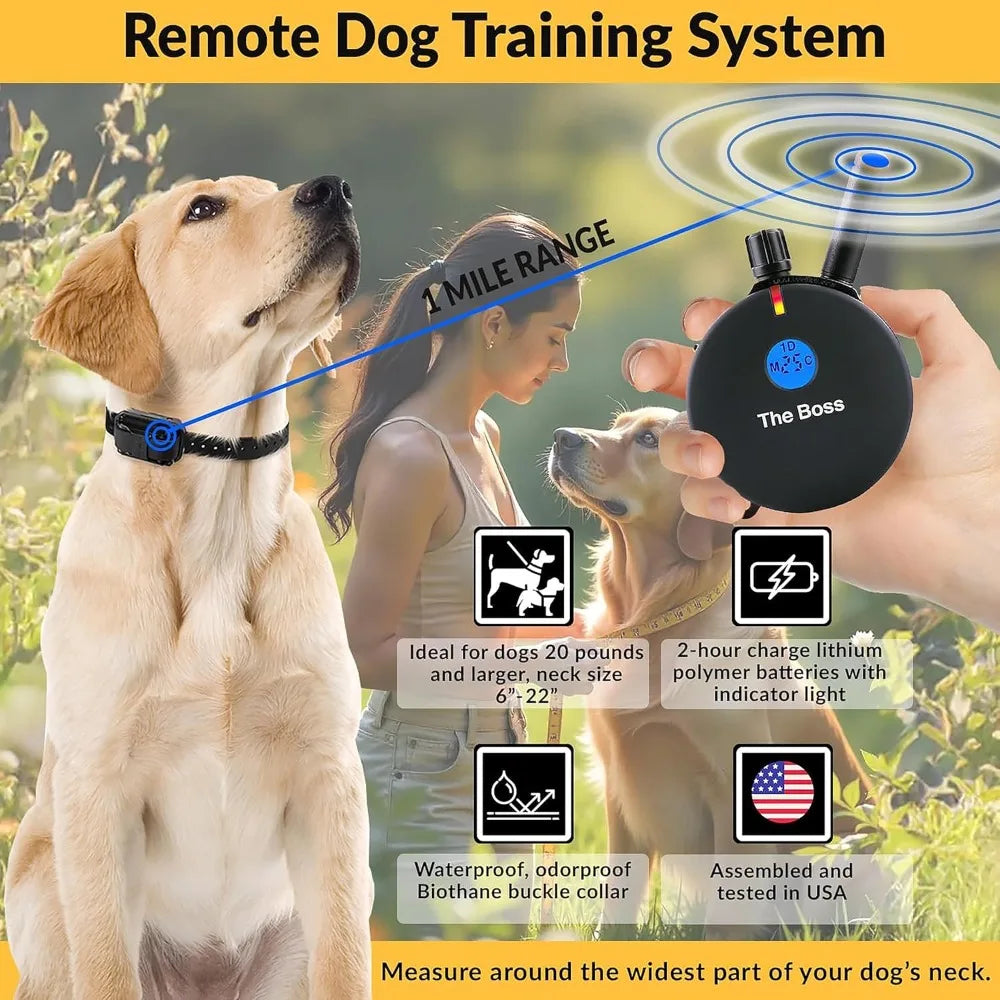 Hign-Concerned Dog Training Collar With Remote 100 Levels