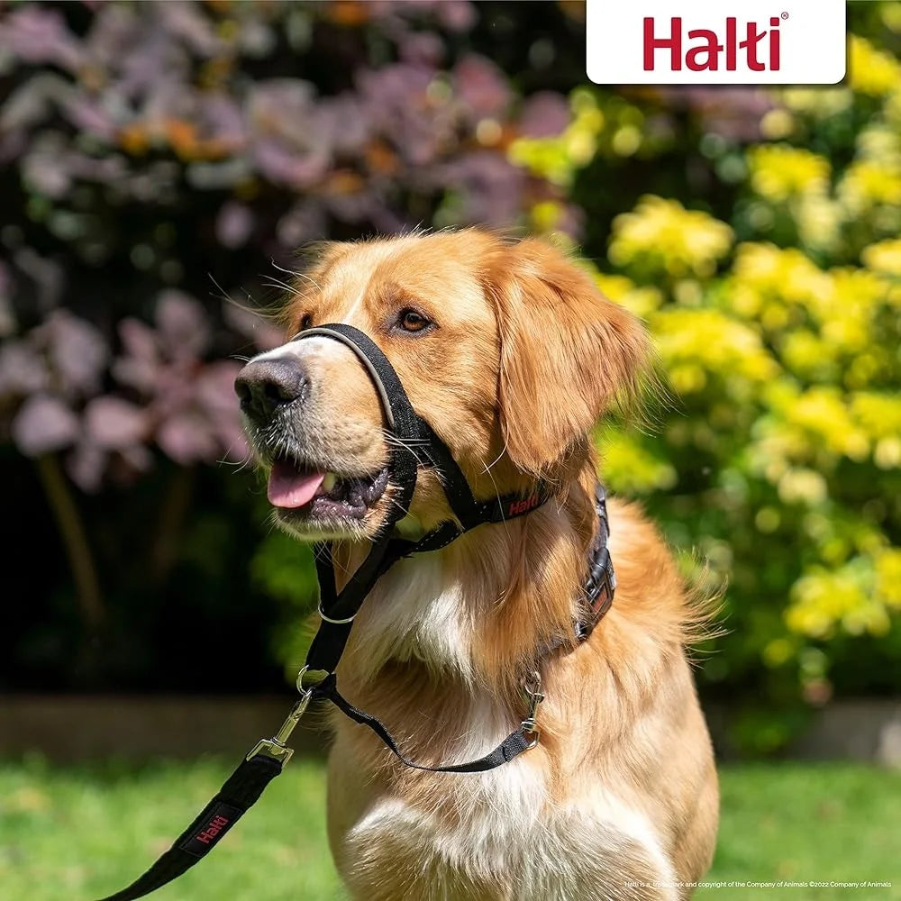 Halti Headcollar Dog Training Lead Stop Pull Reflective