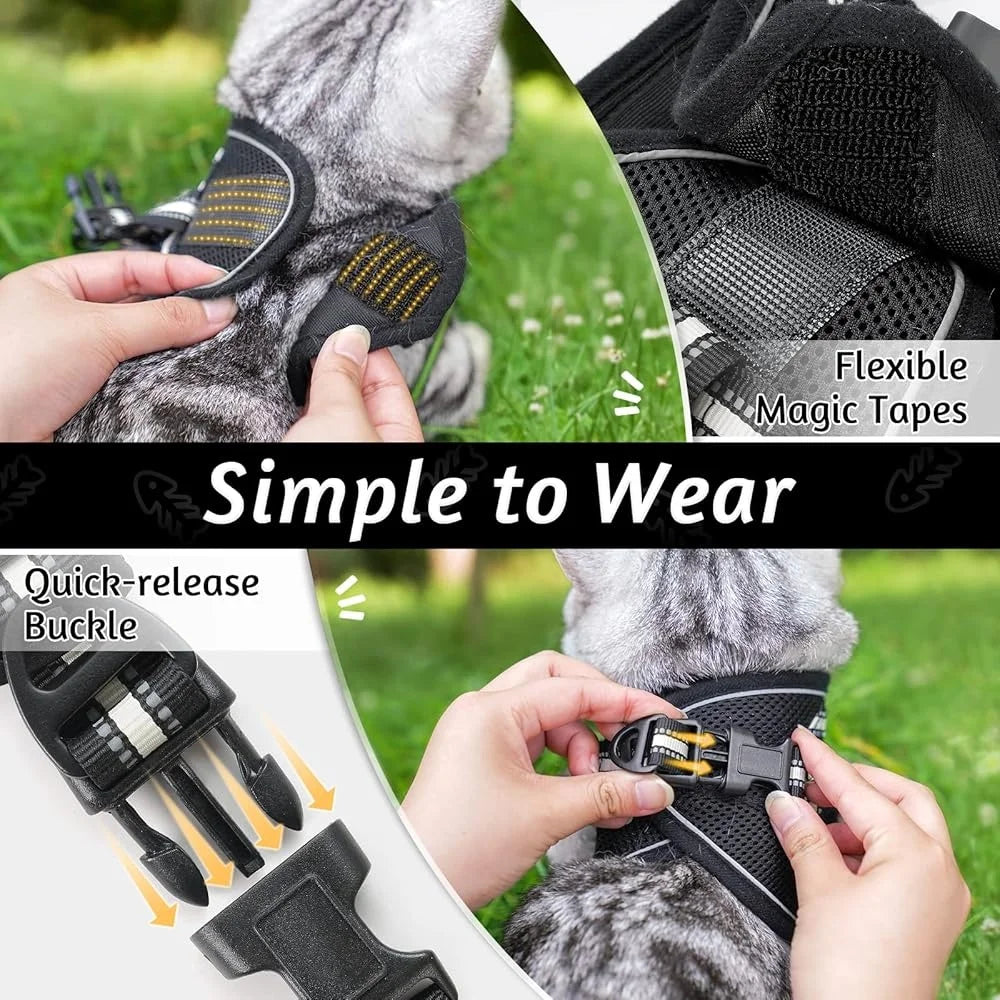 Fujian Escape Proof Adjustable Cat Harness And Leash Set