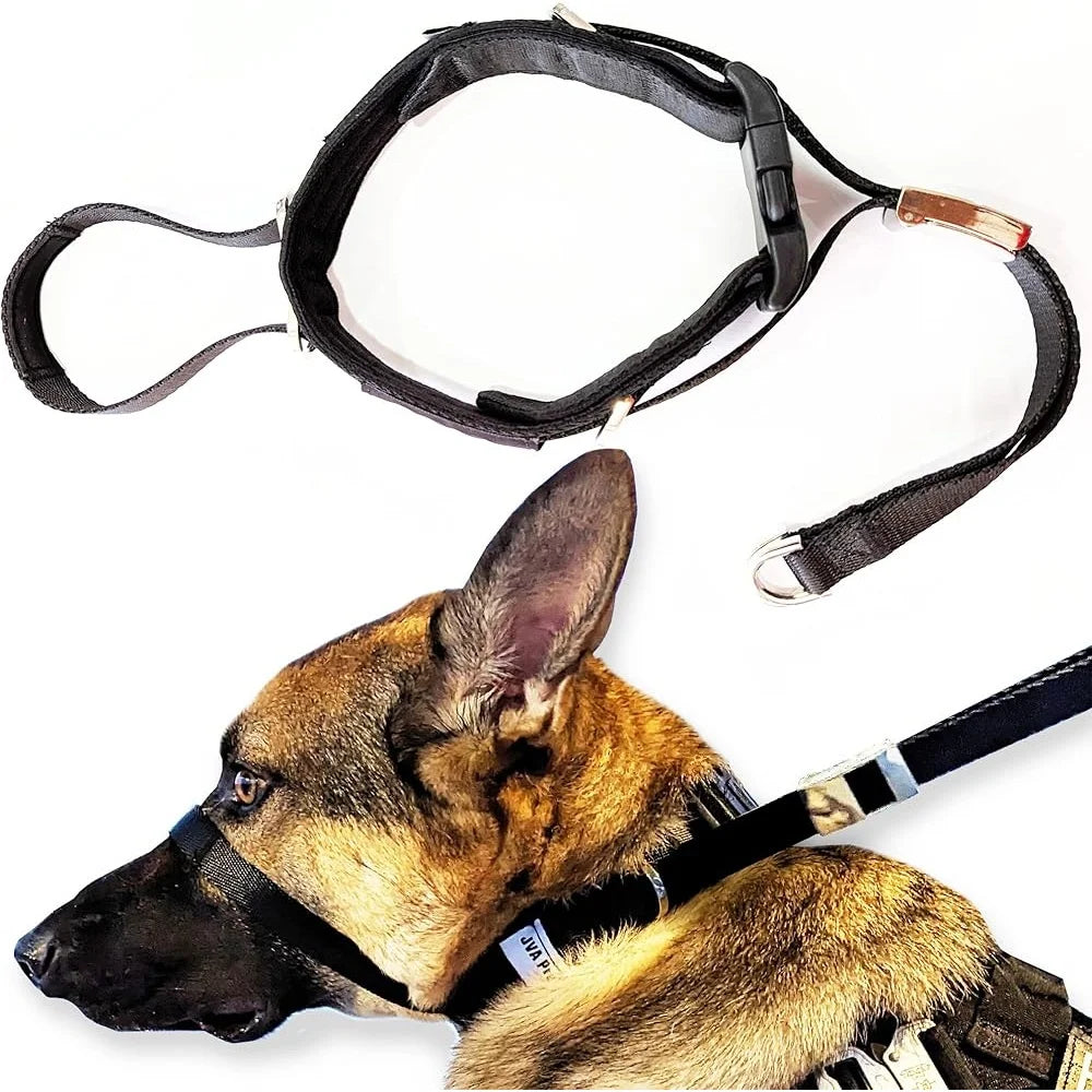 Gentle No Pull Dog Headcollar for Comfortable Training Control