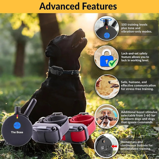 Hign-Concerned Dog Training Collar With Remote 100 Levels