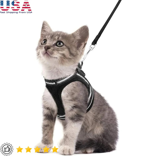 Fujian Escape Proof Adjustable Cat Harness And Leash Set