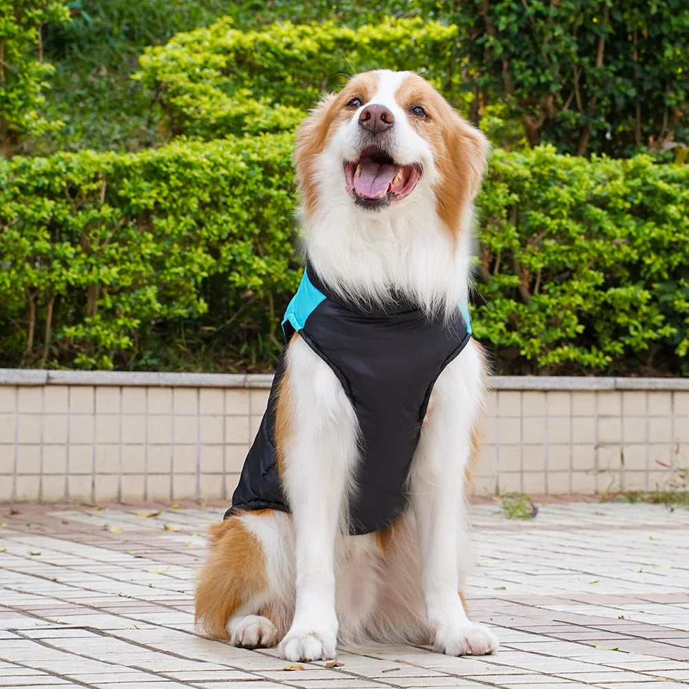 Zhejiang Pet Cotton Vest For Dogs And Cats Outdoor Wear