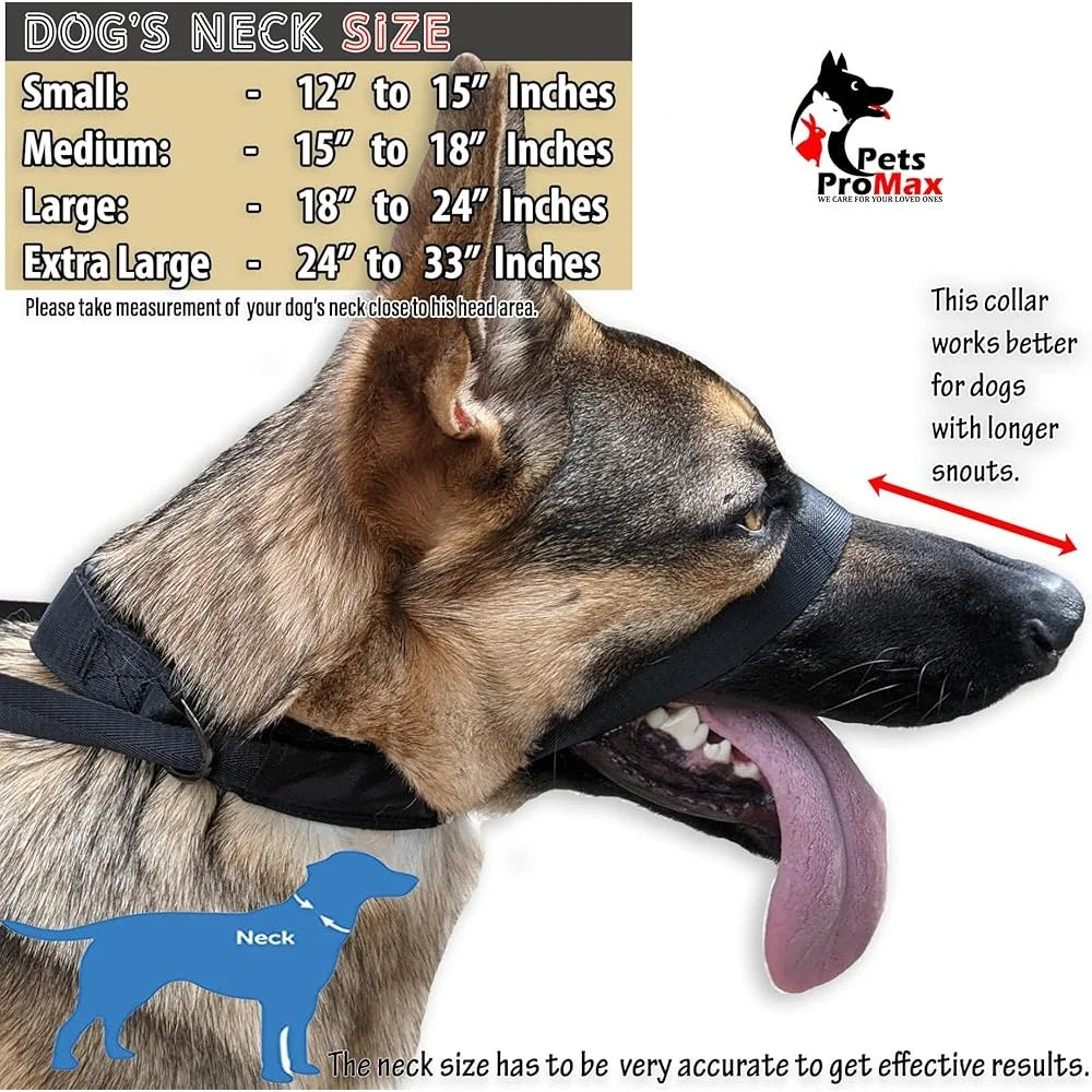 Gentle No Pull Dog Headcollar for Comfortable Training Control