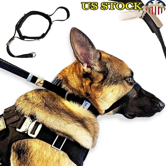 Gentle No Pull Dog Headcollar for Comfortable Training Control
