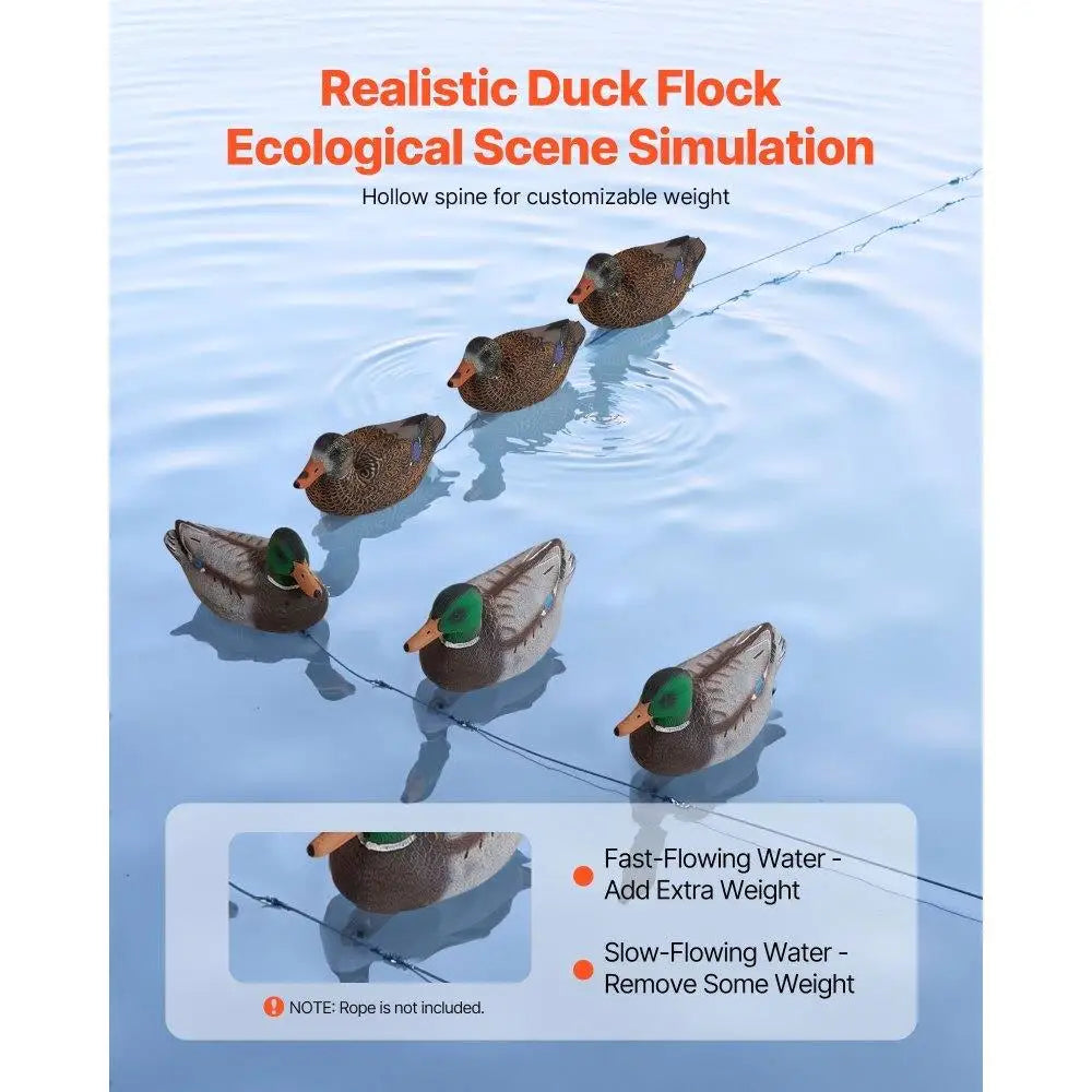 Realistic Floating Teal Duck Decoy Set for  6 Piece Plastic Outdoor Waterfowl Accessory