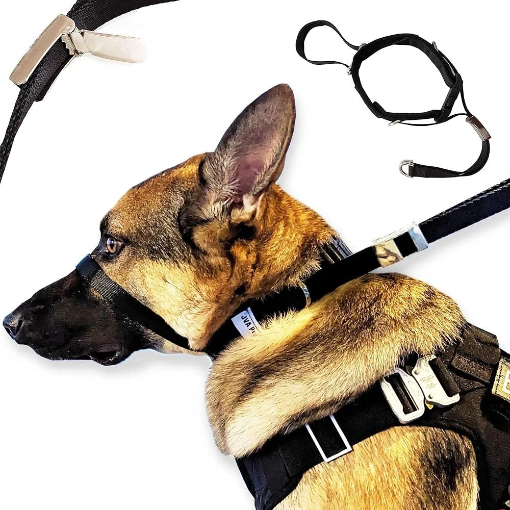 Gentle No Pull Dog Headcollar for Comfortable Training Control