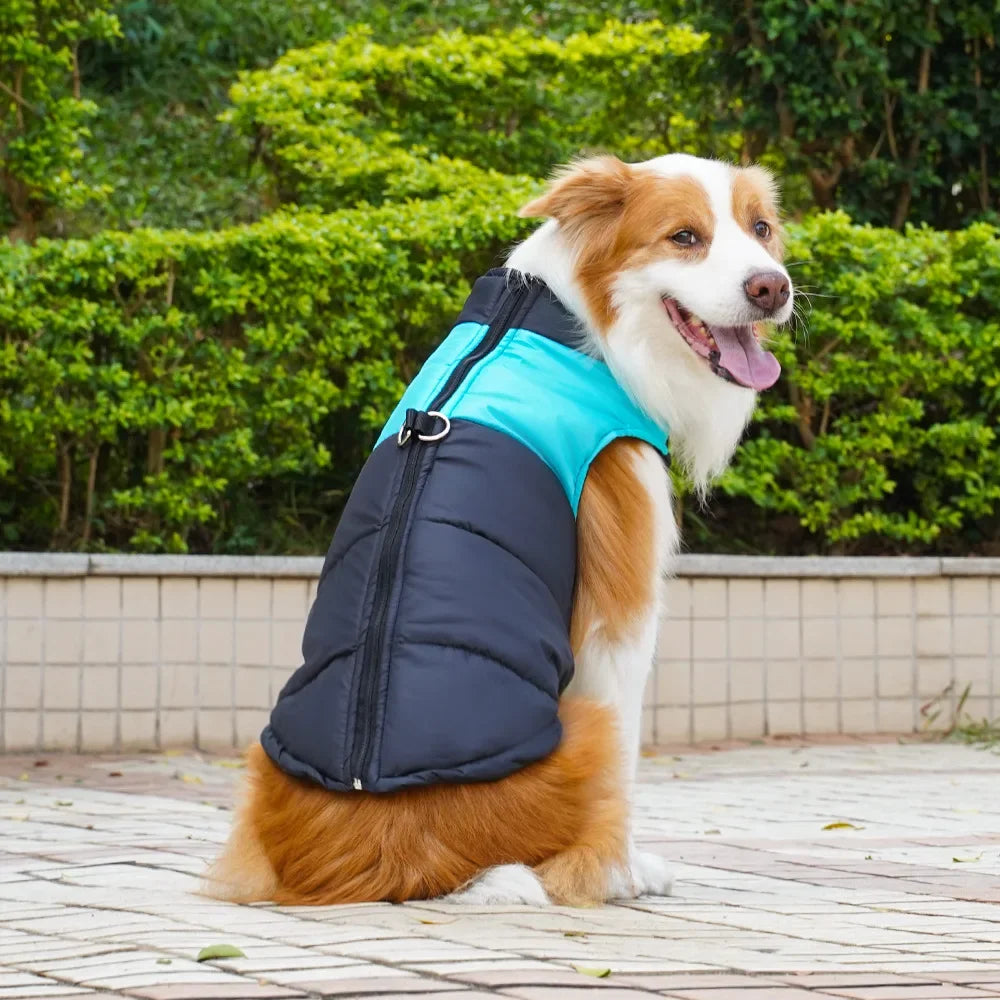 Zhejiang Pet Cotton Vest For Dogs And Cats Outdoor Wear