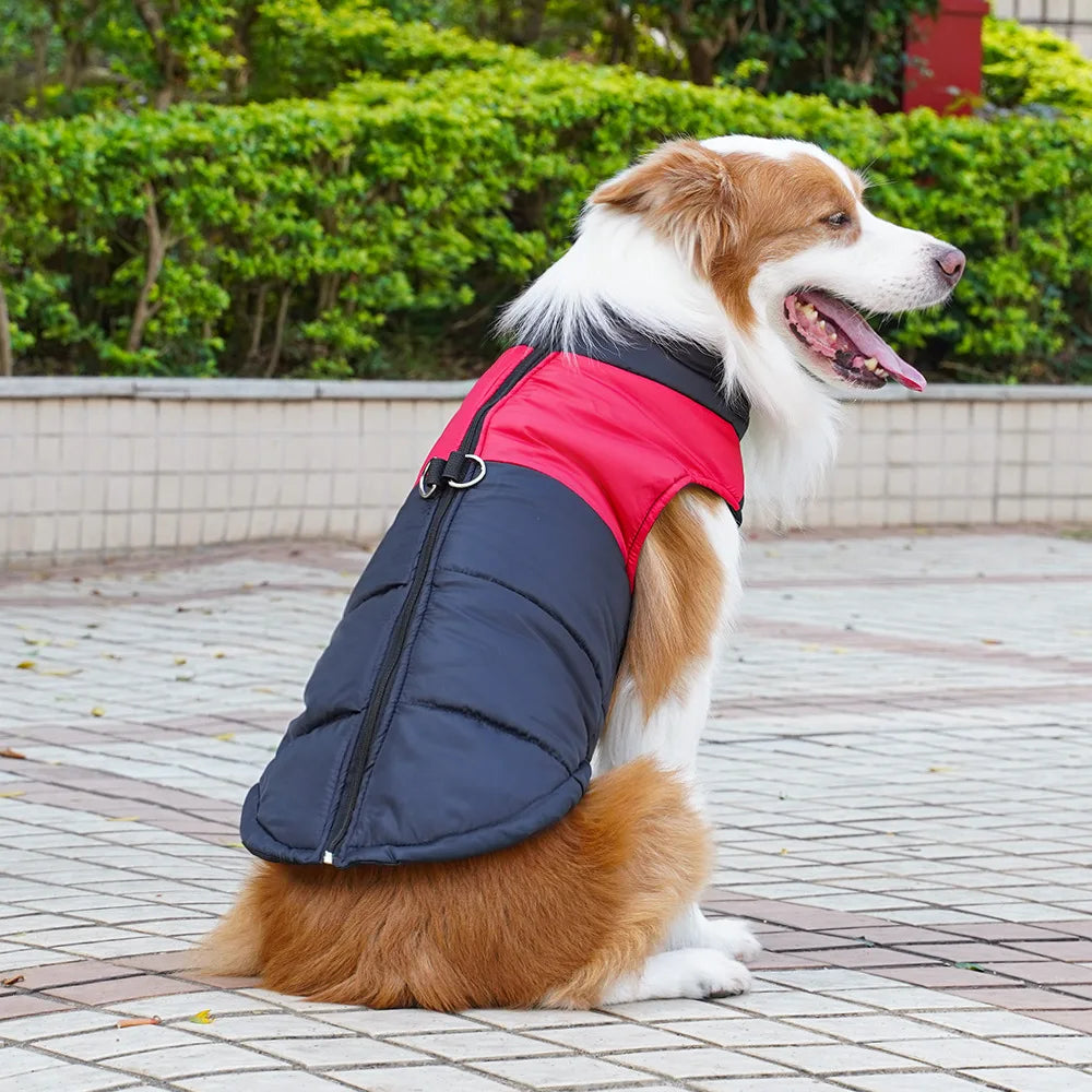 Zhejiang Pet Cotton Vest For Dogs And Cats Outdoor Wear