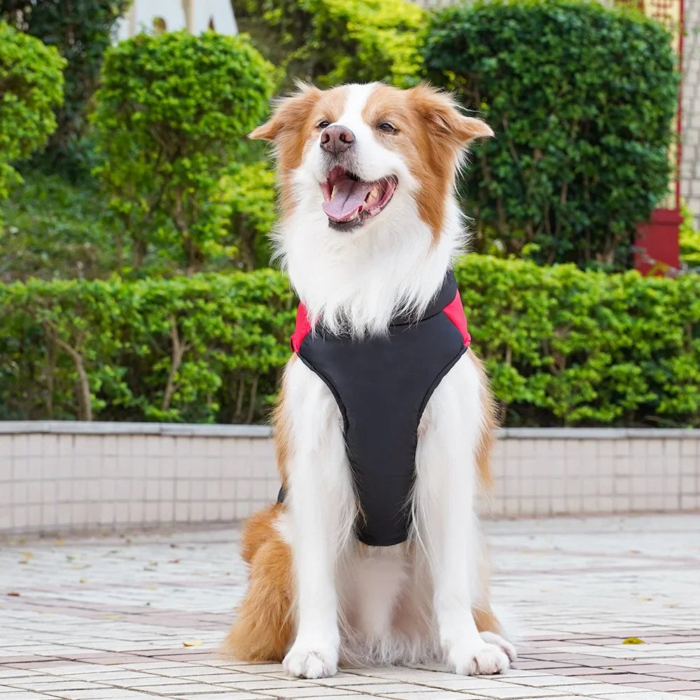 Zhejiang Pet Cotton Vest For Dogs And Cats Outdoor Wear