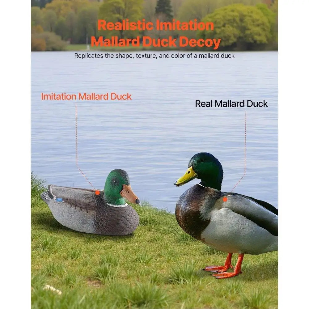 Realistic Floating Teal Duck Decoy Set for  6 Piece Plastic Outdoor Waterfowl Accessory